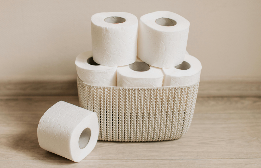 10 Best Toilet Paper In The World